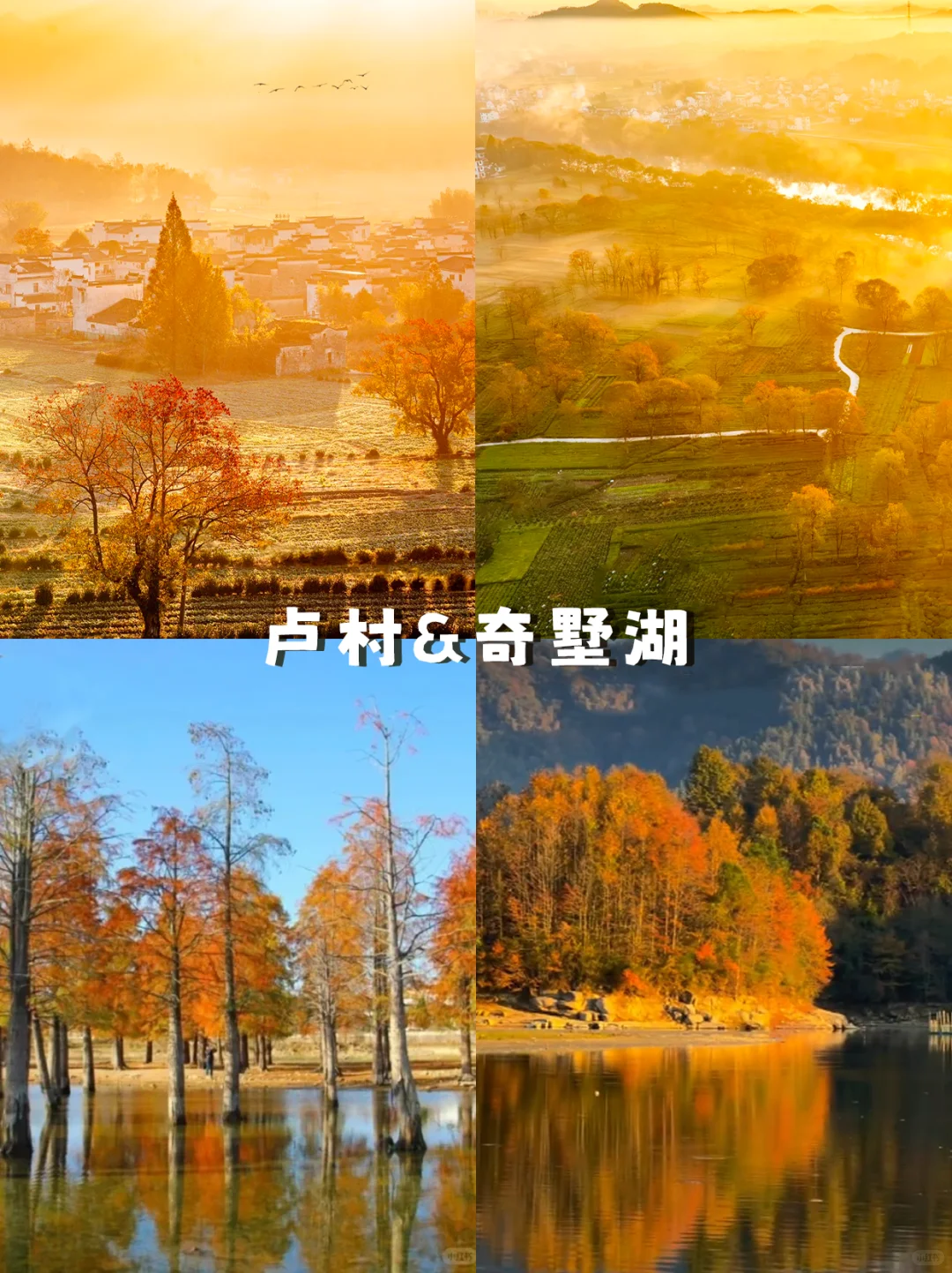 9-11月的皖南，藏着中国最美的秋天🍁