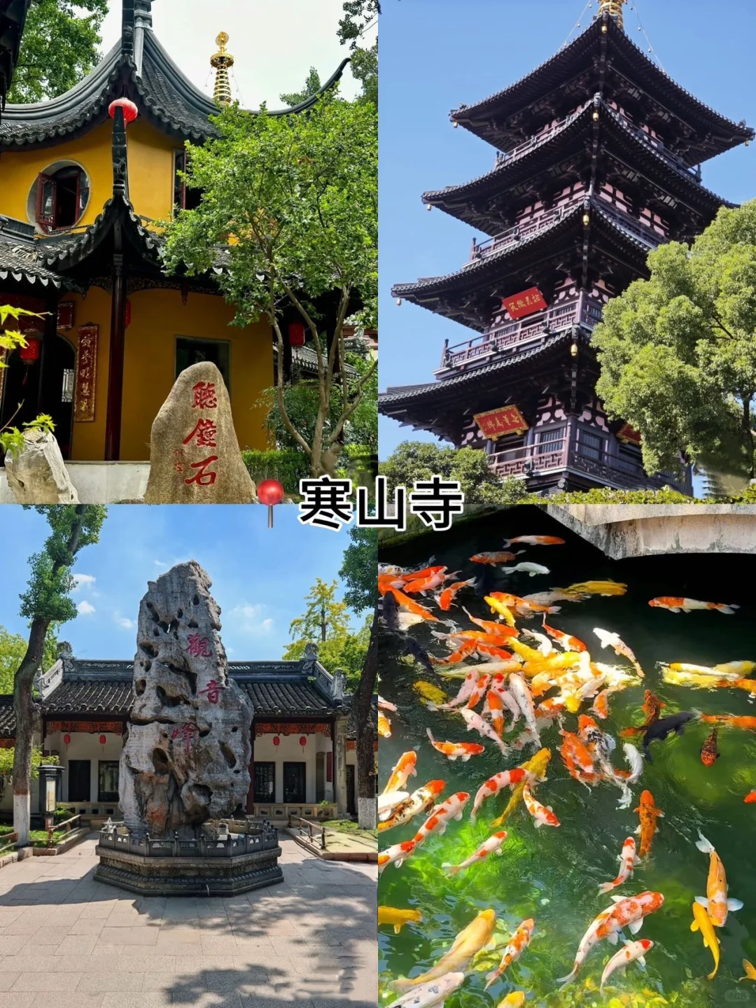 苏州最值得去6个景点❗旅行前必看❗❗