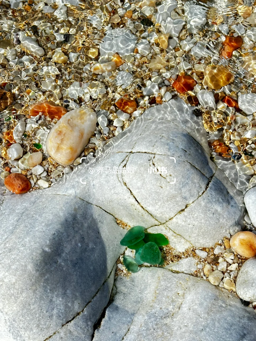 10.30养马岛天气多云☁️8-18度早晚温差大‼️