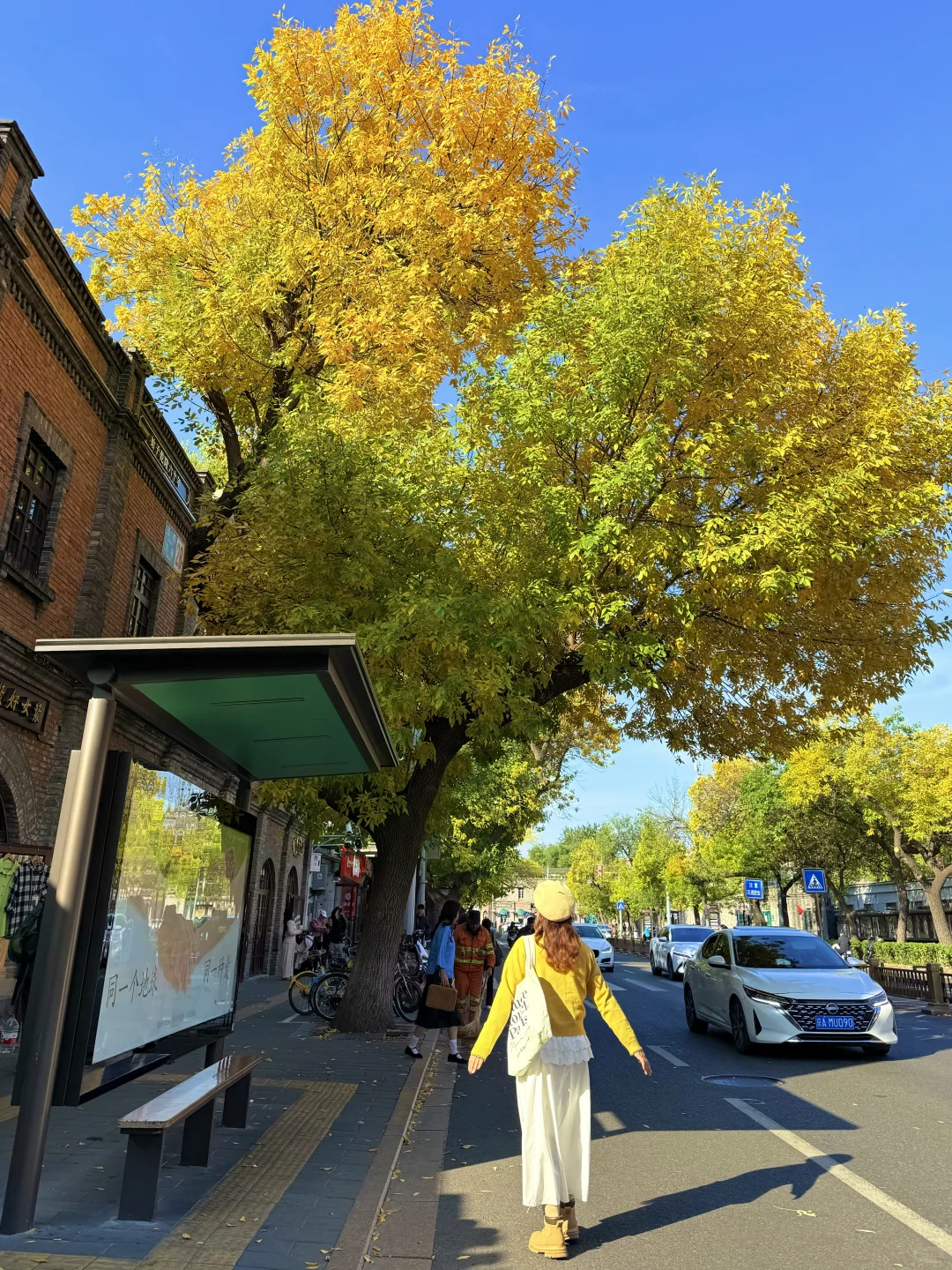 10.19实况🍂北京最新赏秋citywalk路线‼️