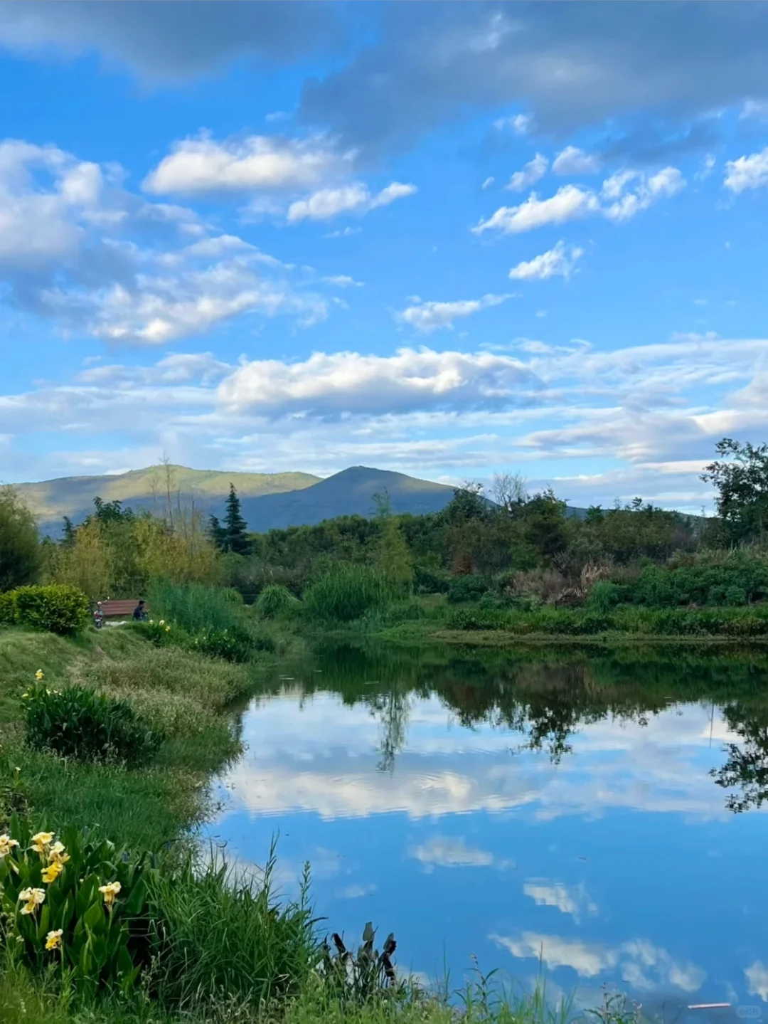 200多💰！洱海旁！海景小院已是next level！