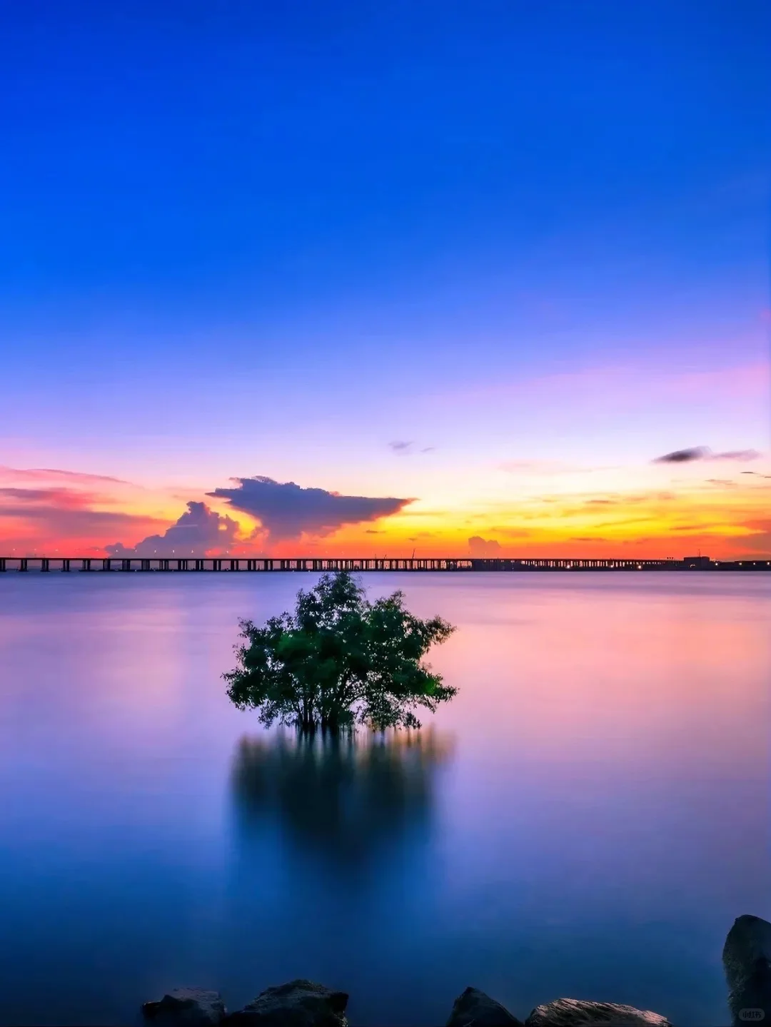 国庆反向游，深圳10个宝藏景点，人少景美免费