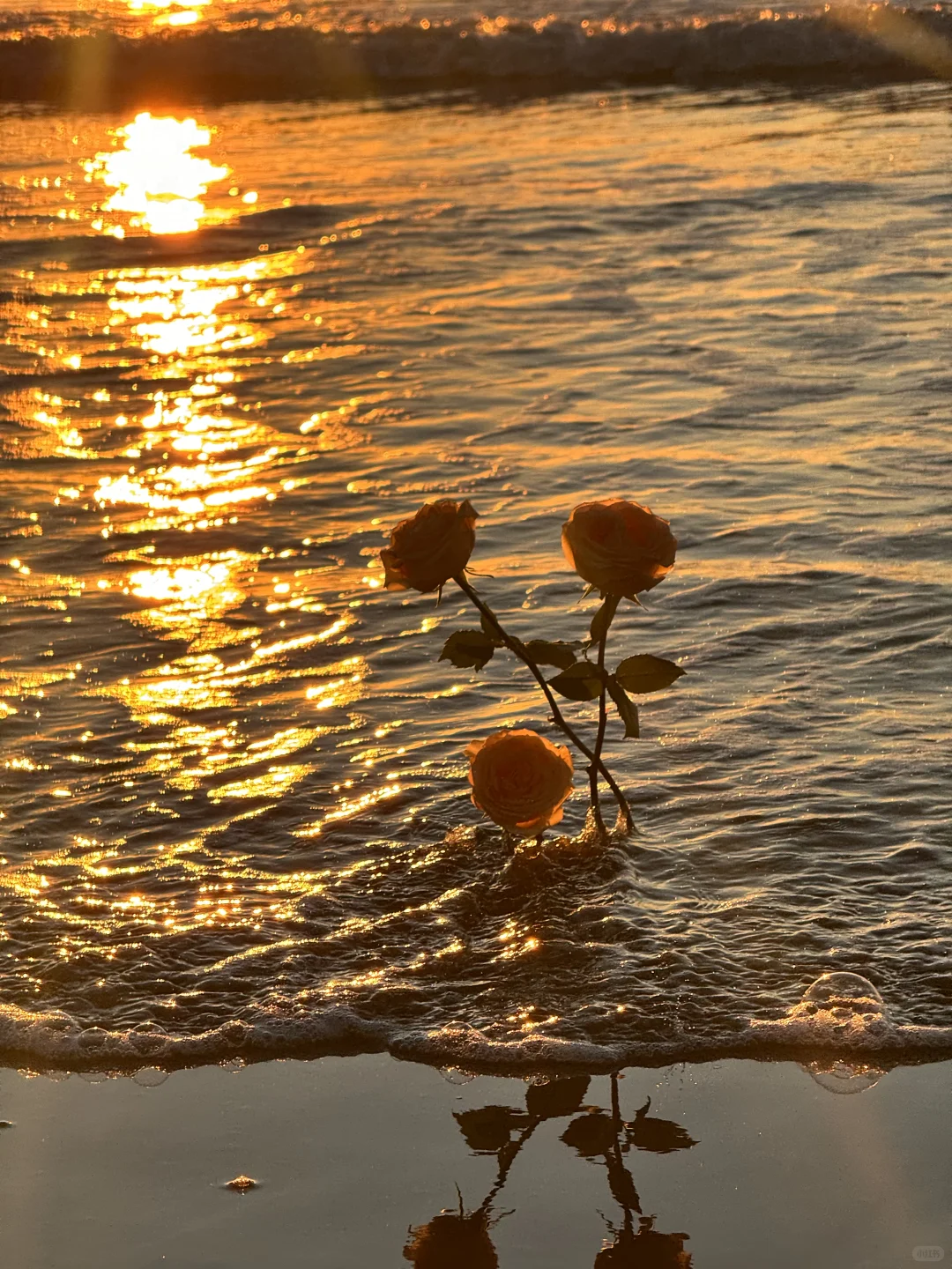 📍青岛日记｜live图实况美到窒息（附机位）！