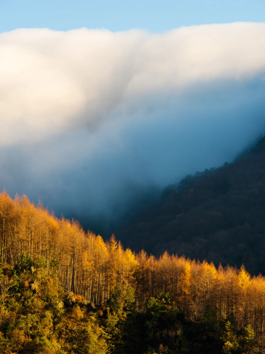 成都周边徒步|⏰本周户外活动合集