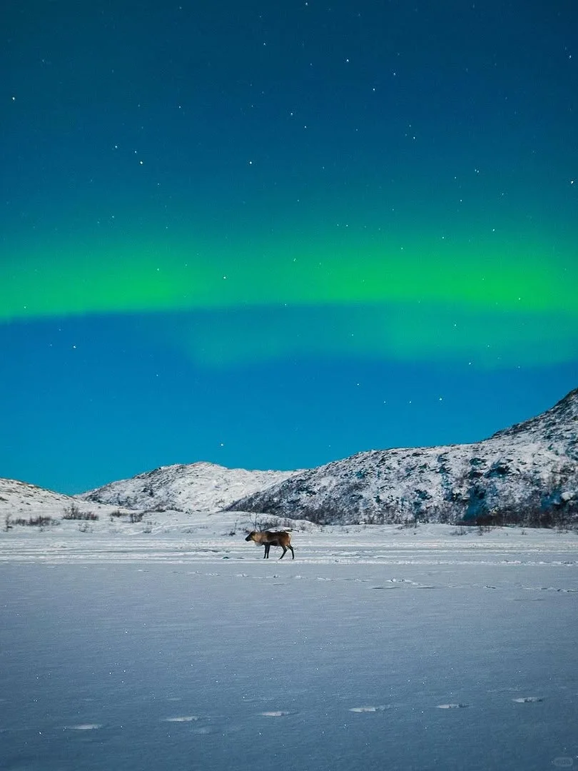 冬季北欧三国极光攻略｜芬兰→挪威→冰岛