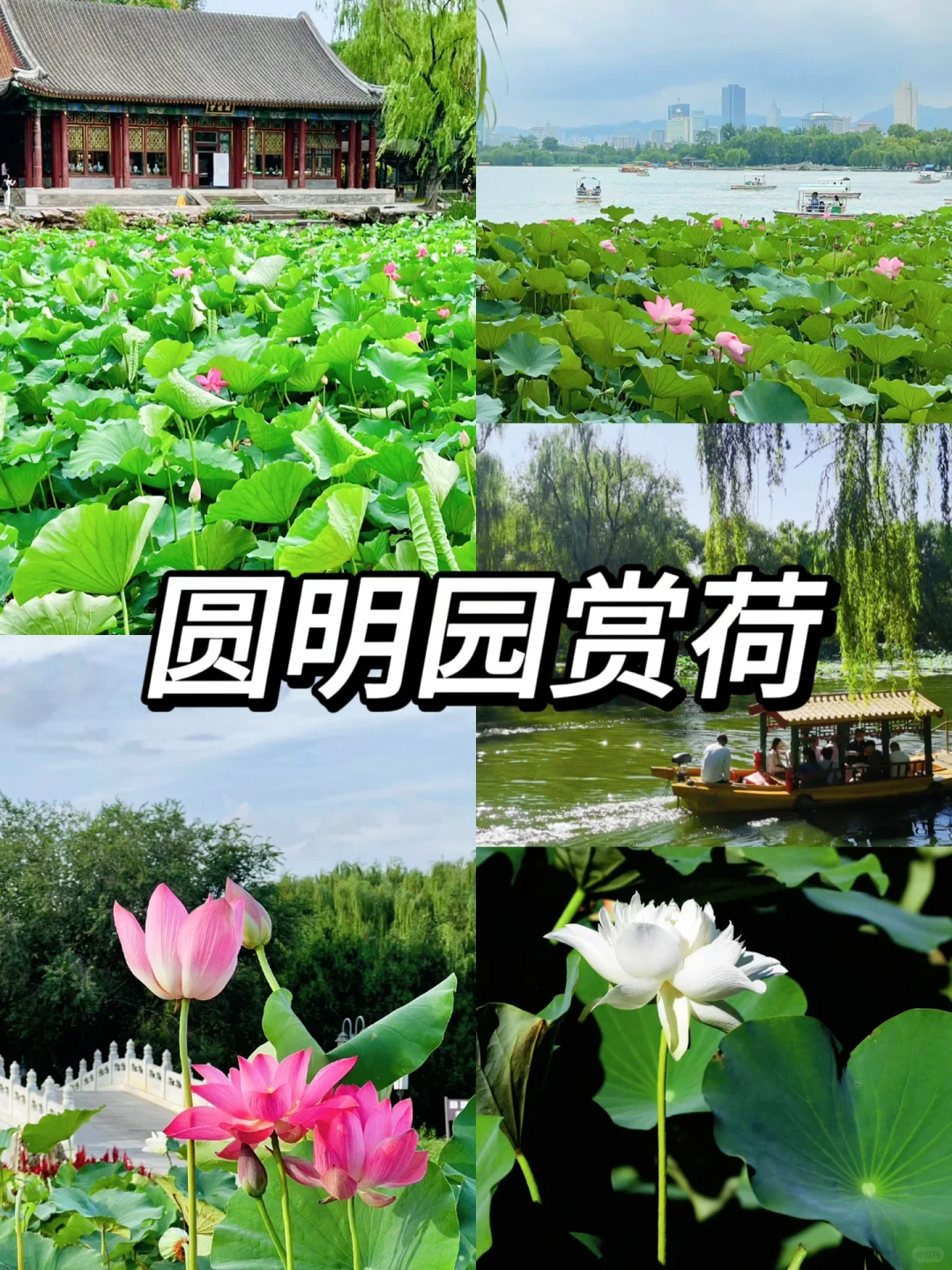 🍂准备好来北京了吗？只需1K➕就能玩5天