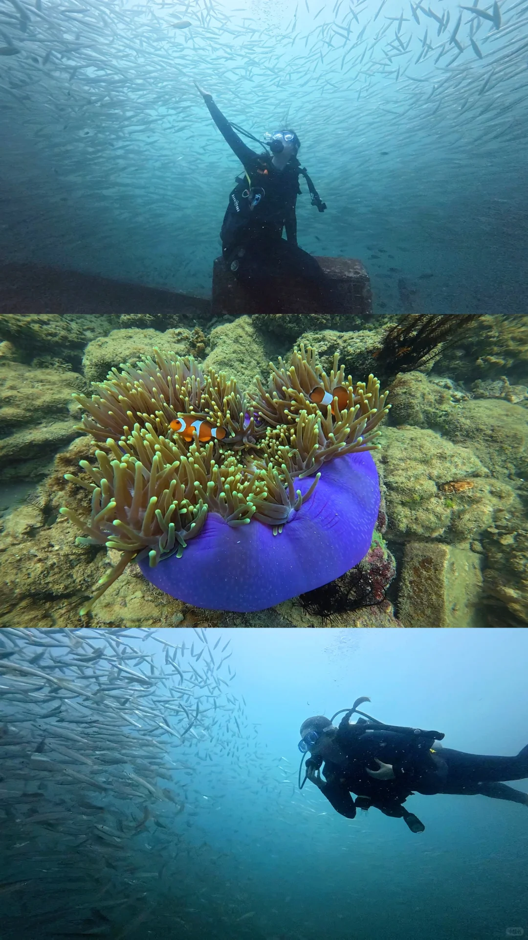 真心建议出国旅游不要过度焦虑…