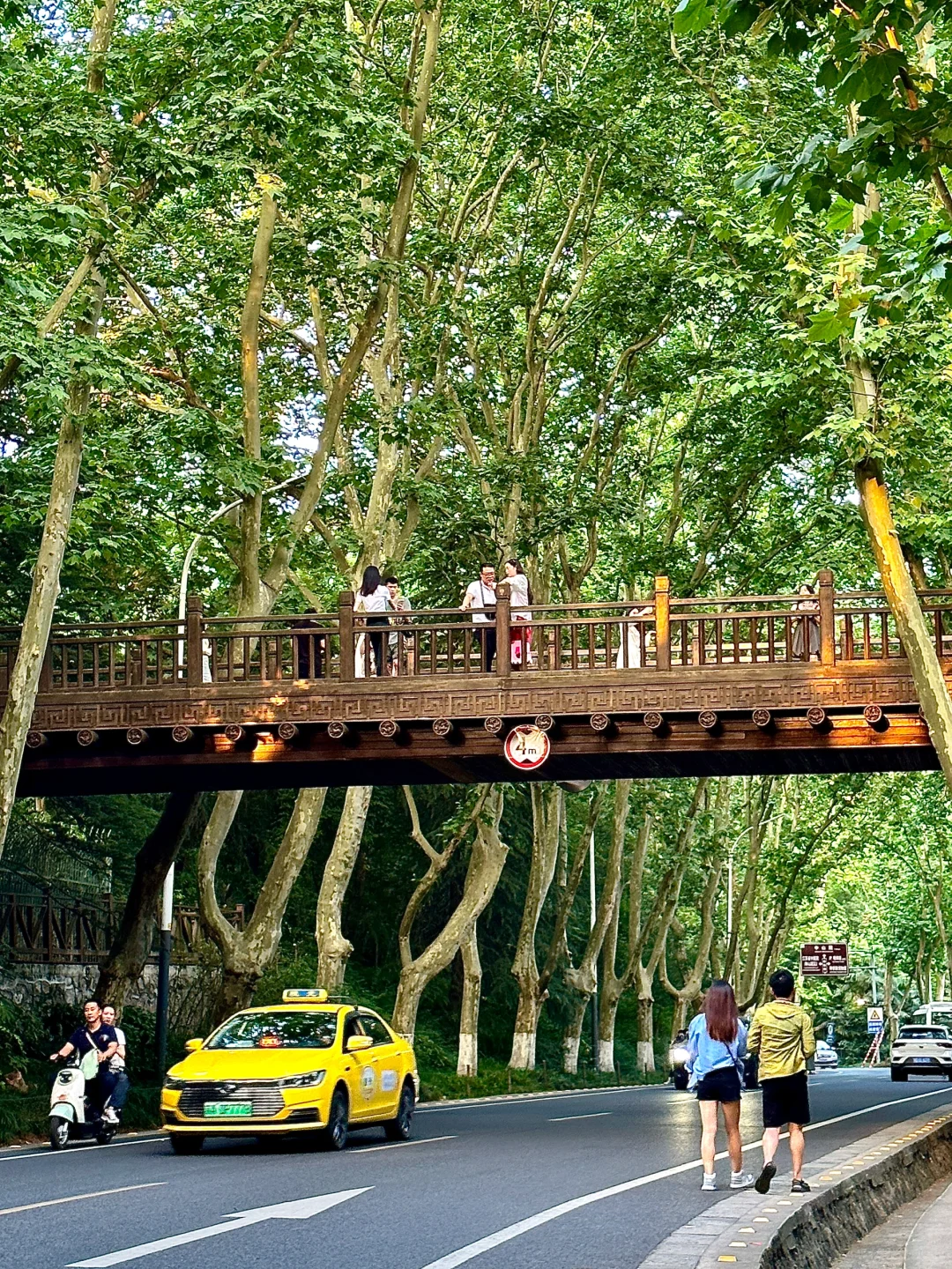 为了这1⃣️8⃣️张图，我飞了一趟南京！！！