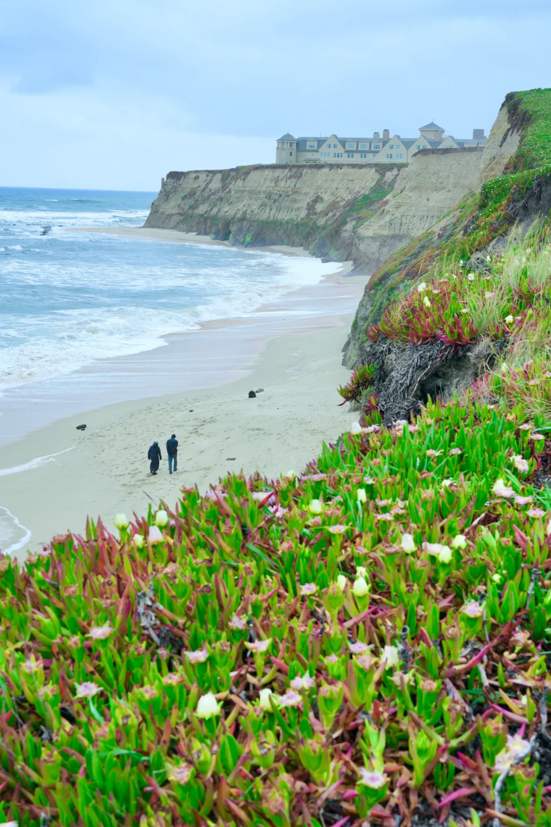 🇺🇸美西9天自由行攻略｜附吃喝玩乐 省钱版