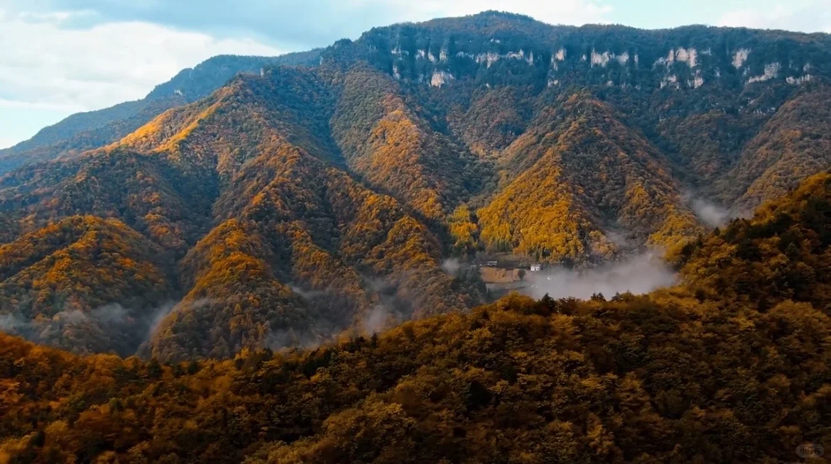 2025神农架赏秋最佳时间