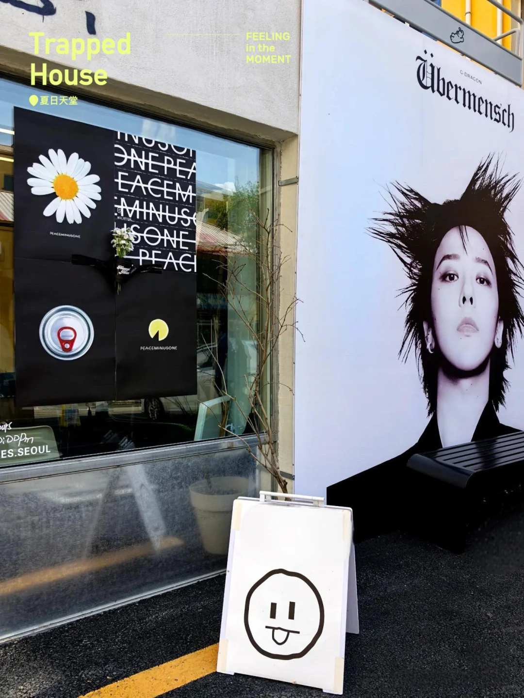 真的没出国！尔滨异国风情旅游景点🈴️集