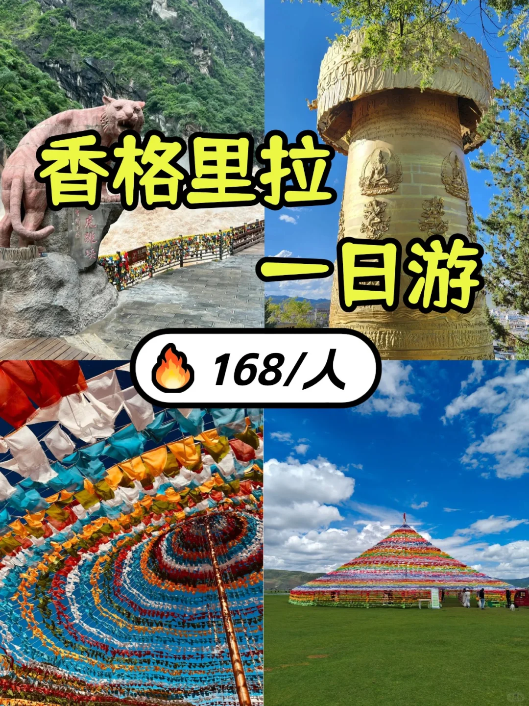 香格里拉一日游小团💰丽江往返168/人‼️