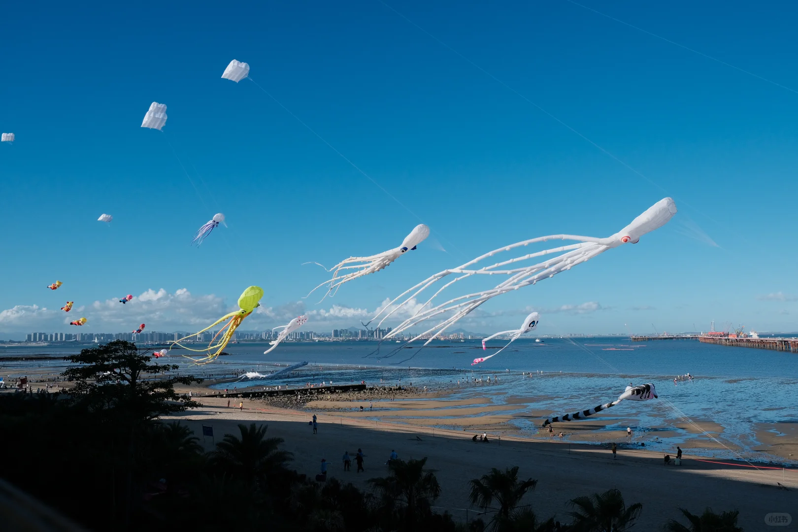 ✨厦门旅游攻略丨带你玩转文艺海滨之城✨