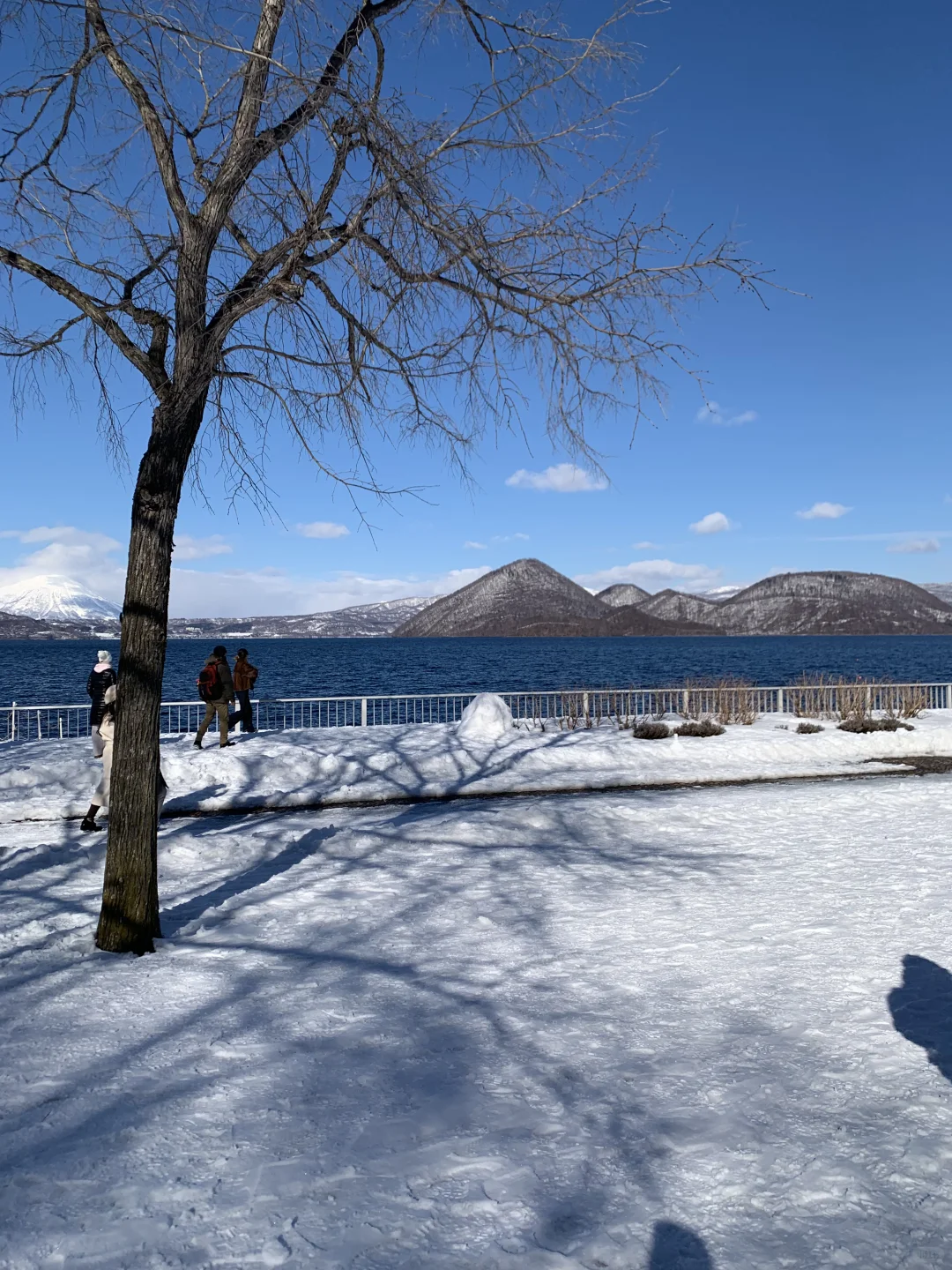 去北海道一定要去!!!!!!