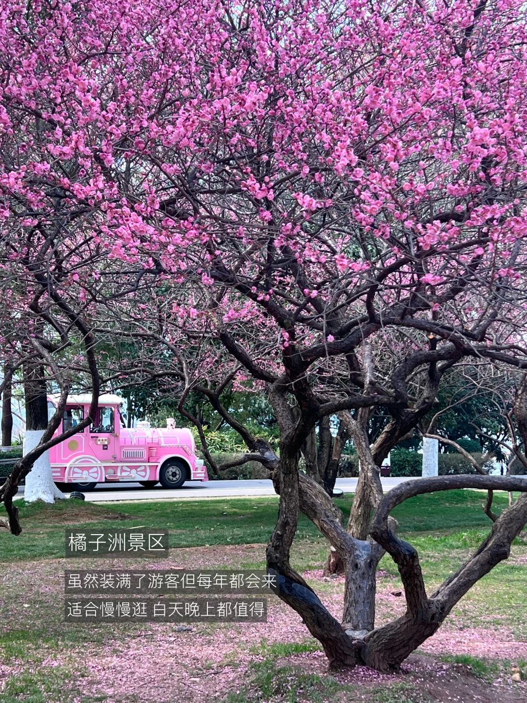 长沙最好的地方都是免费的…