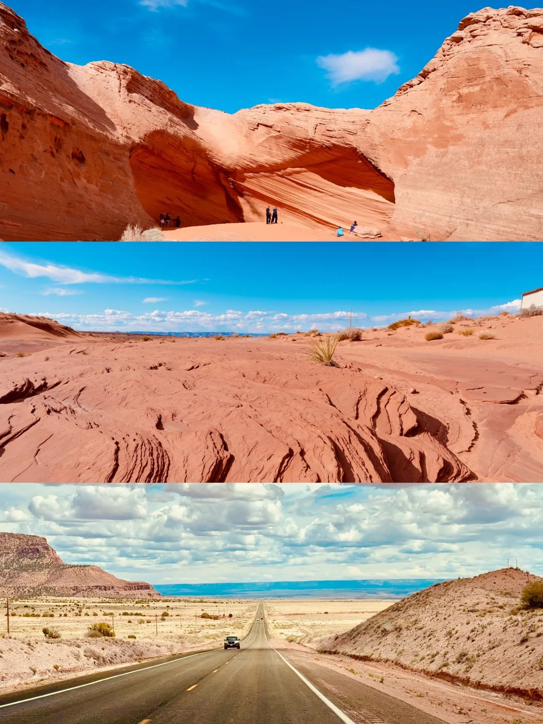 🇺🇸美西9天自由行攻略｜附吃喝玩乐 省钱版