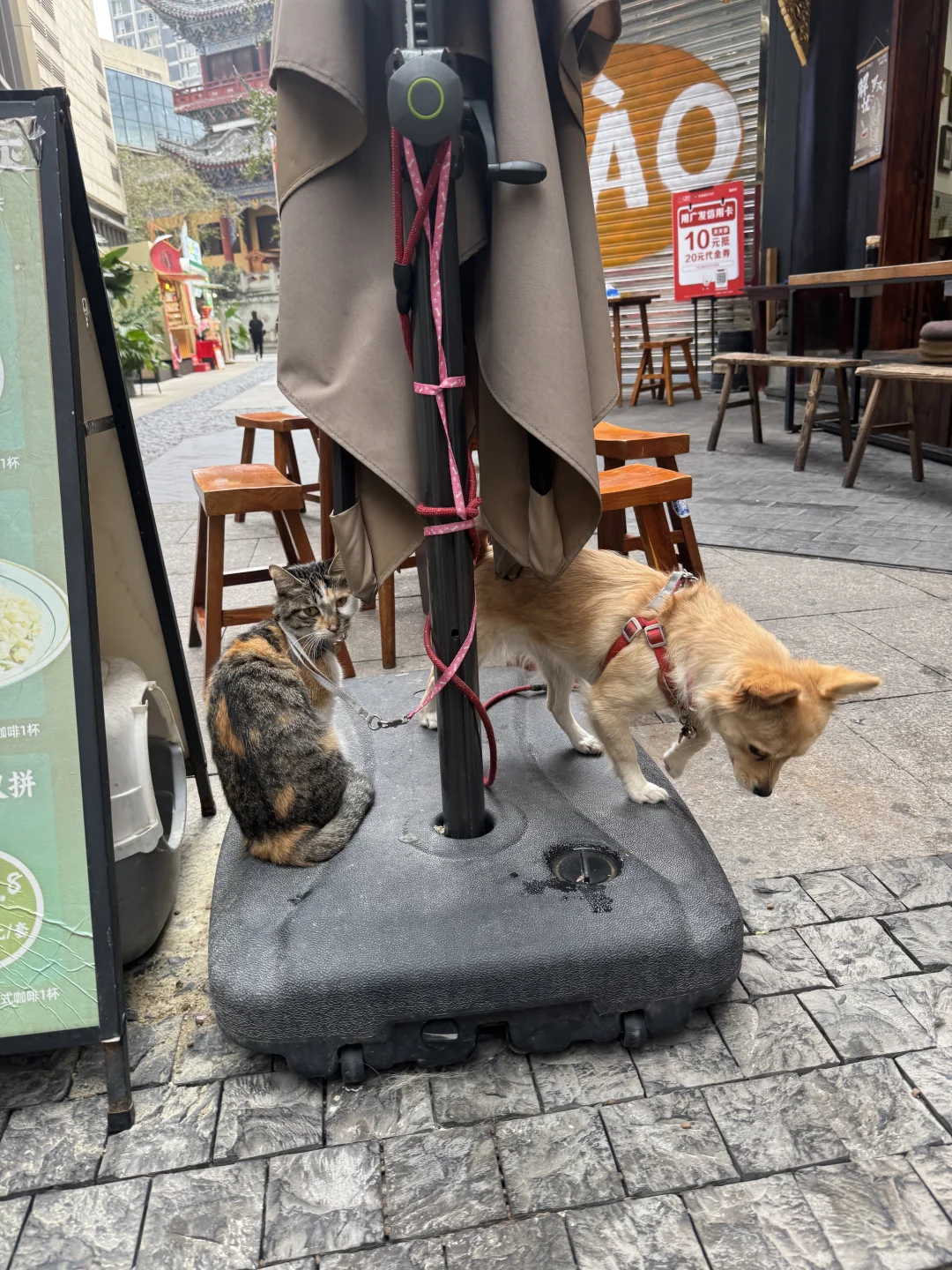 重庆旅游攻略：8D魔幻山城