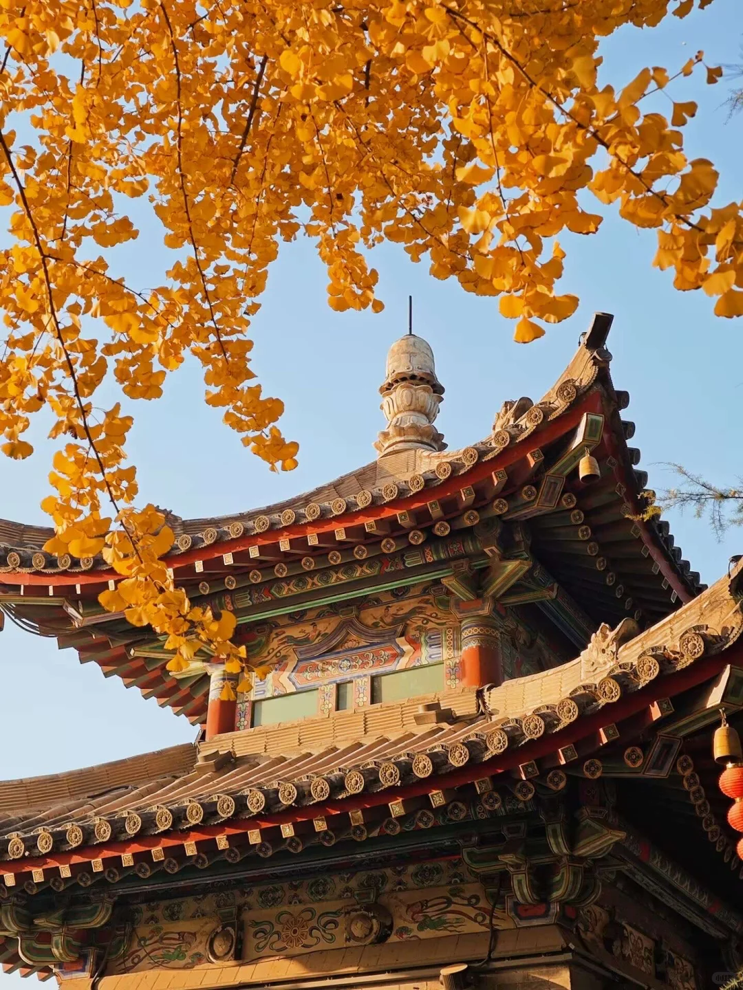 就在11🈷️被问爆的龙门石窟赏秋全攻略来啦