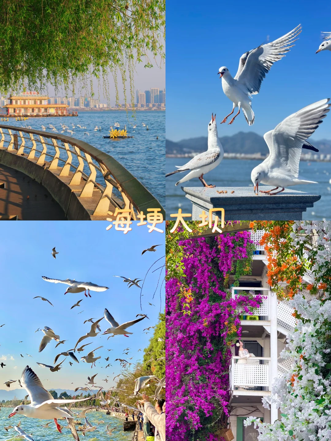 昆明9大宝藏地,会反复溜娃的9个地方✨