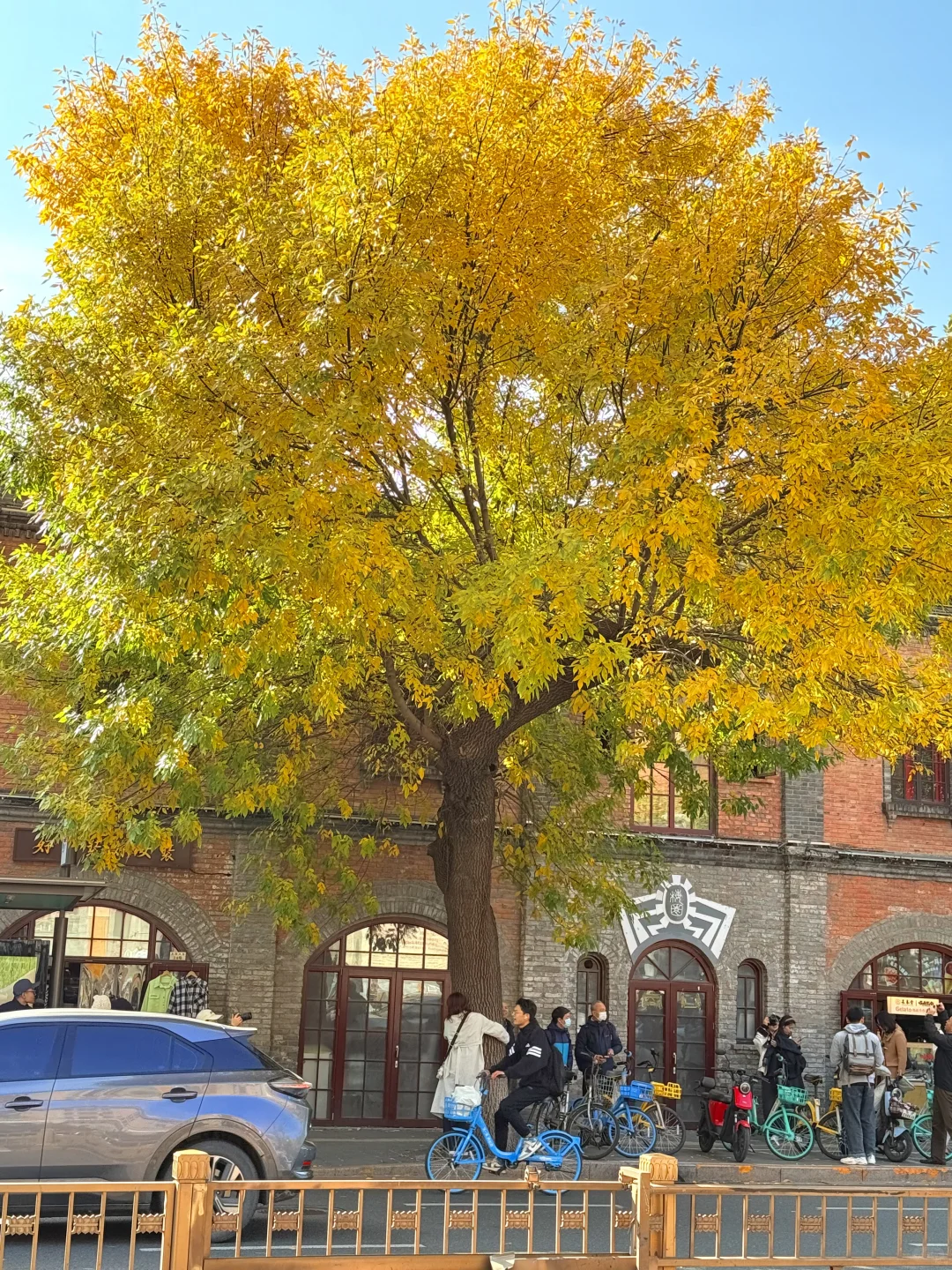 10.19实况🍂北京最新赏秋citywalk路线‼️