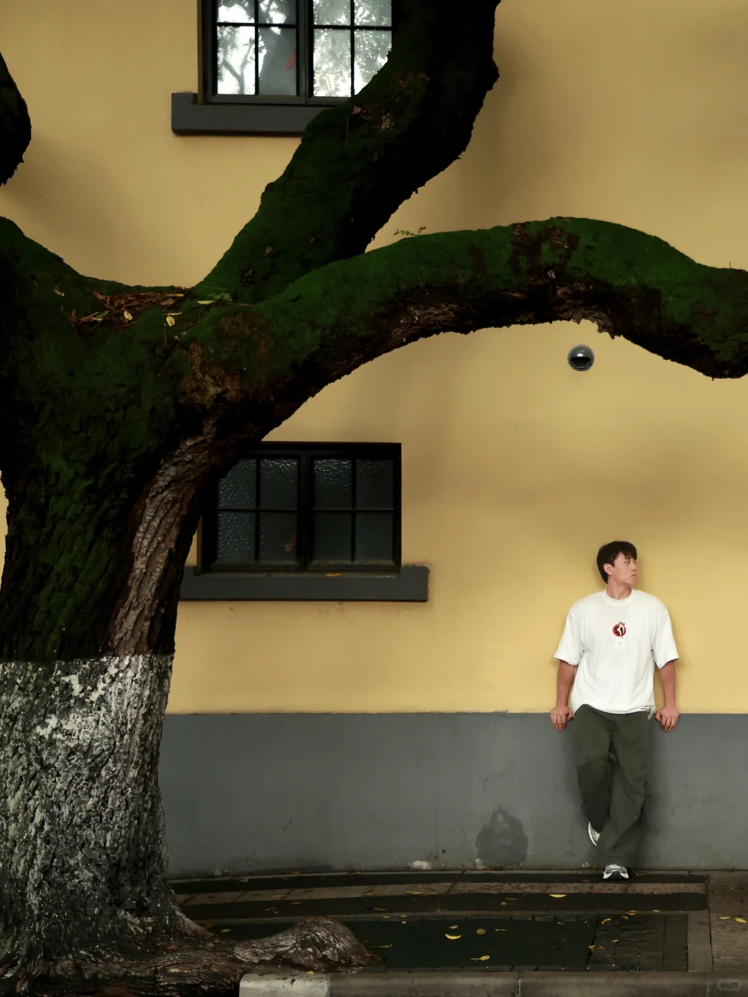 南京旅游攻略❗️❗️看这篇就够了❗️（附路线图）