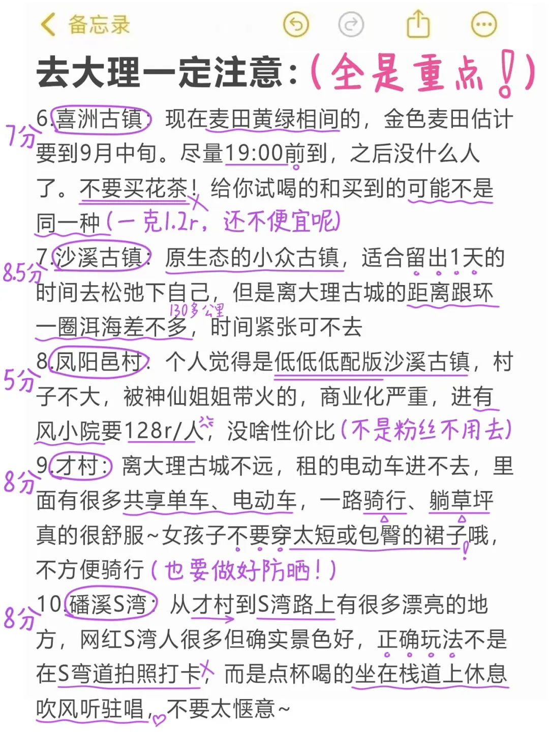 本J人手写的大理旅游攻略已经next level了