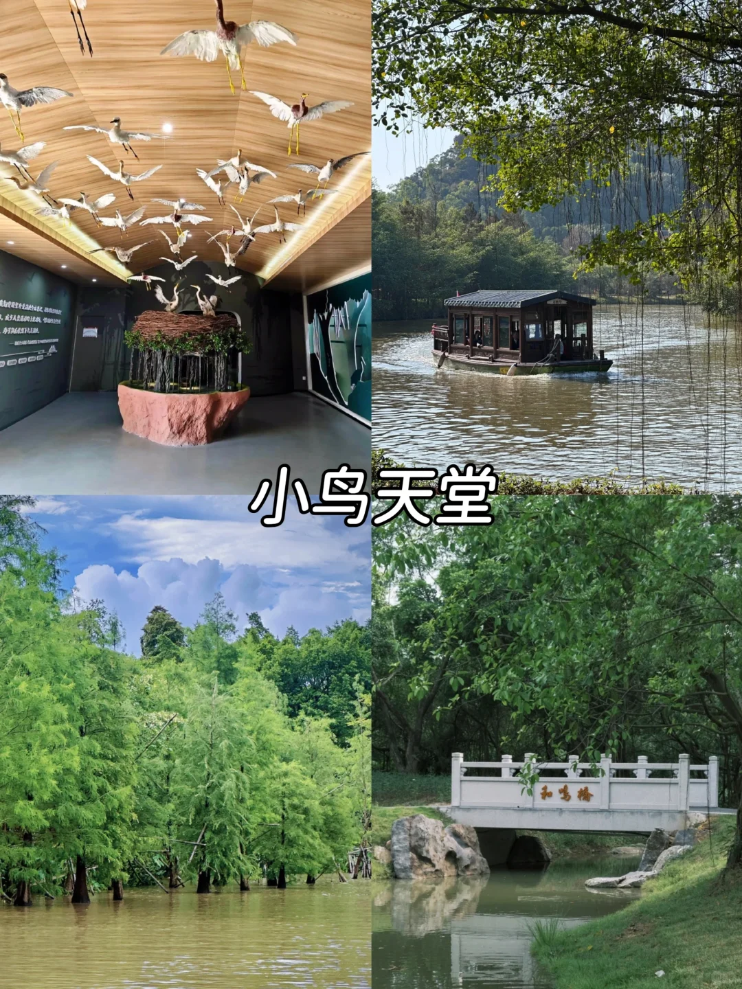 江门city walk|必打卡景点旅游攻略❗