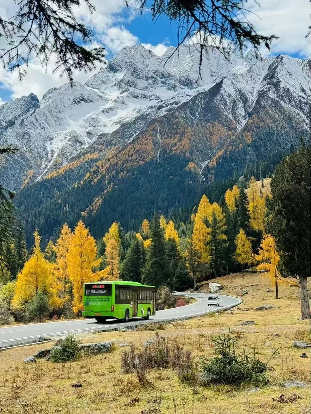 10.18📍四姑娘山现状，草已黄🍂要来的听劝……