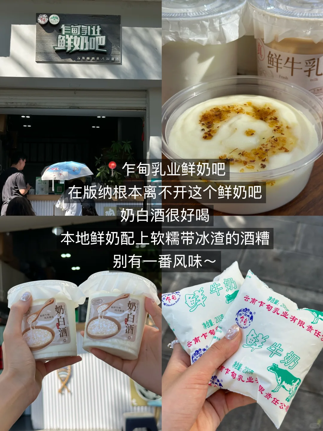 对J人男朋友做的版纳旅游攻略甚是满意。。。