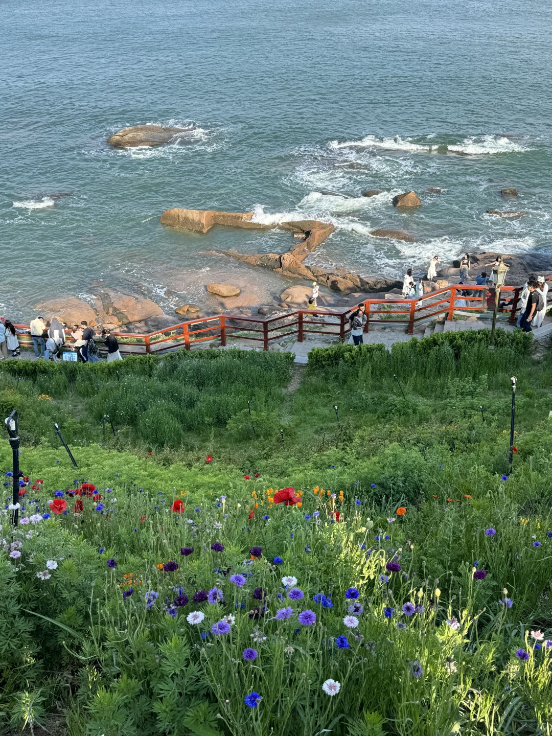 📍青岛日记｜live图实况美到窒息（附机位）！