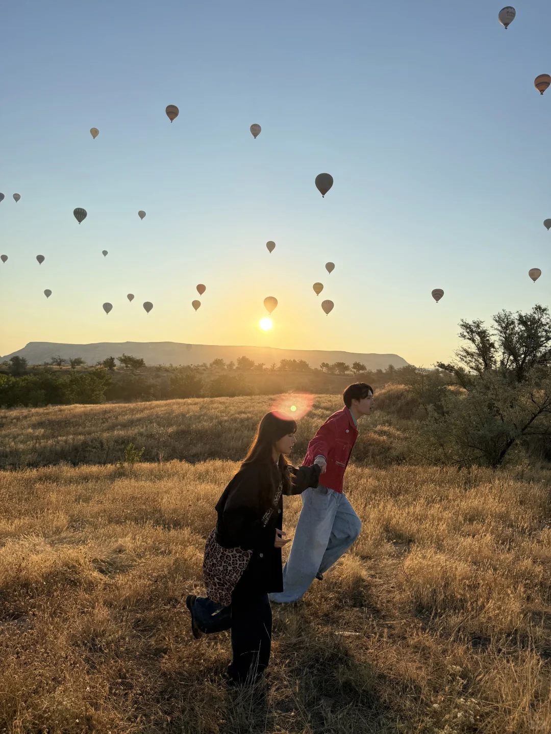 一些撒在土耳其的狗粮🐶