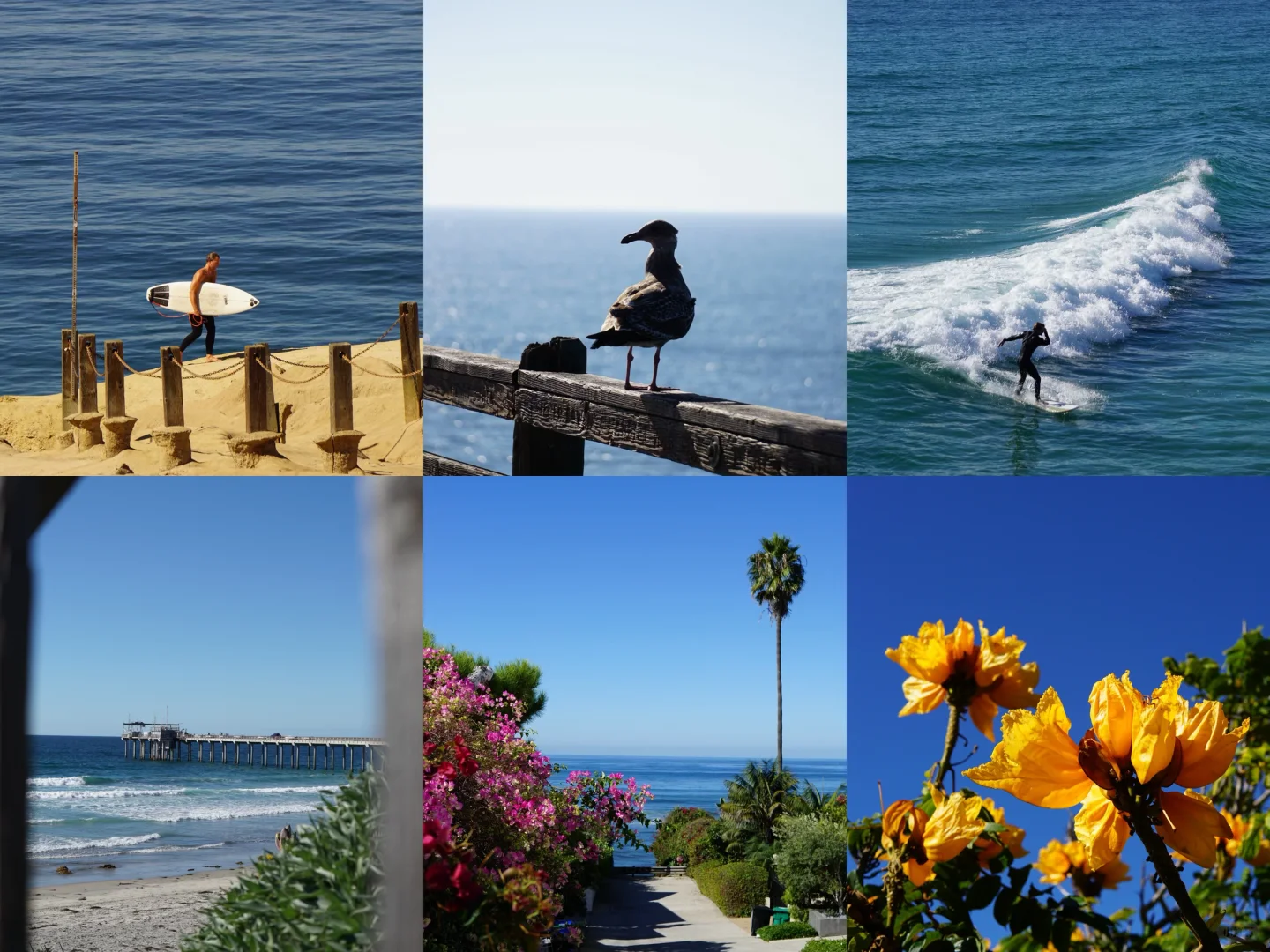 圣地亚哥旅游攻略：把日子浪费在看海上🌊