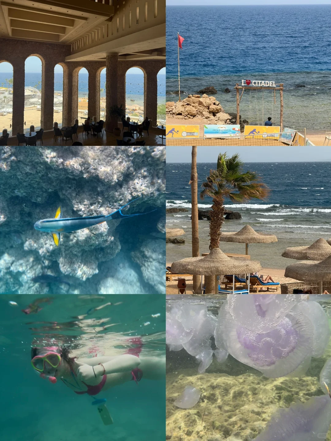 超全攻略🥰来埃及只看这一篇就够了！