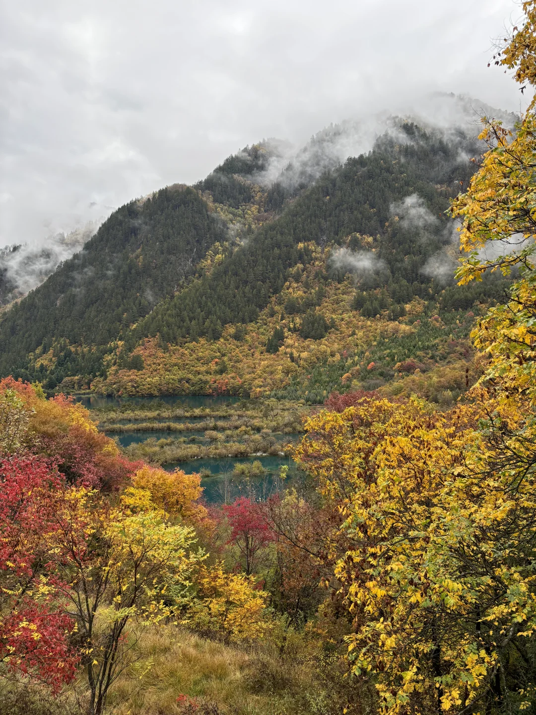 三天两夜九寨沟+黄龙旅游攻略 彩林季🍂