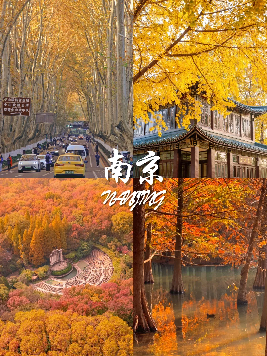 9-11月国内赏秋宝藏地推荐🍂 附观赏攻略