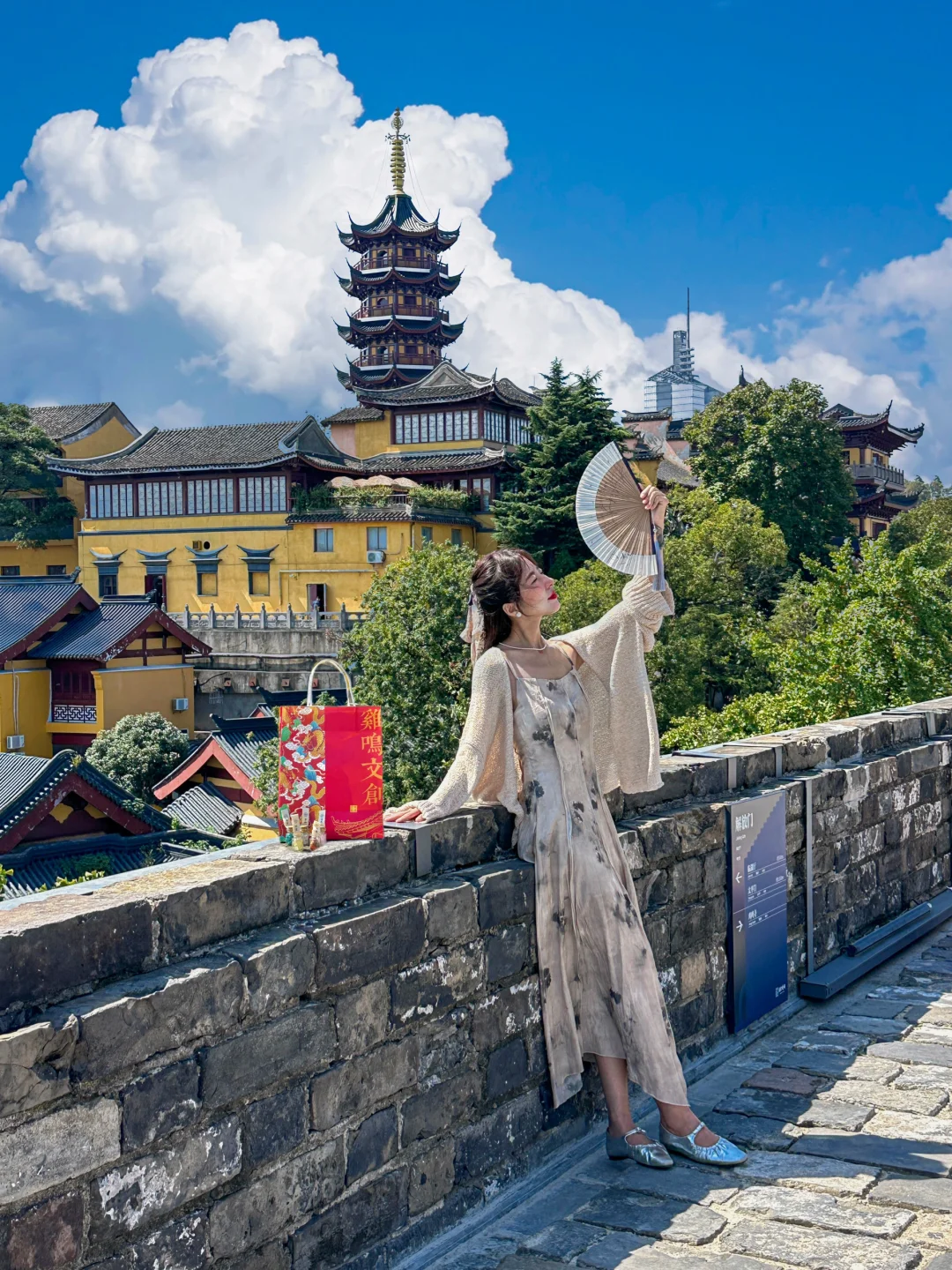 为了这1⃣️8⃣️张图，我飞了一趟南京！！！