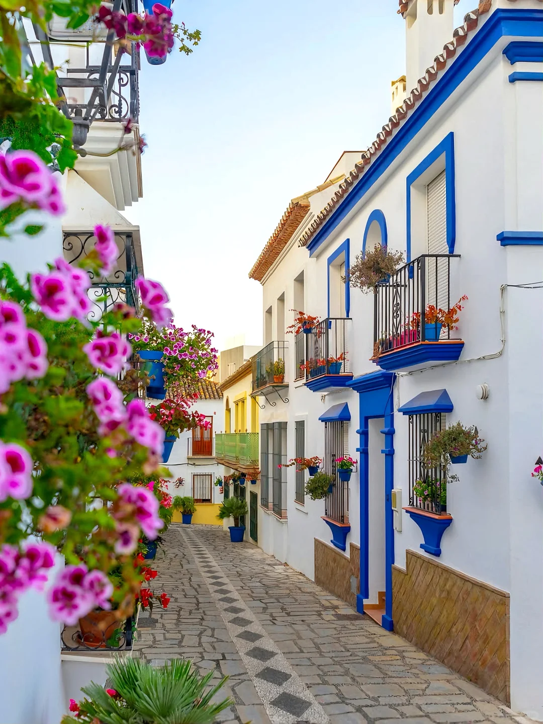 🍊这个秋冬去马拉加过橘子味的夏天！