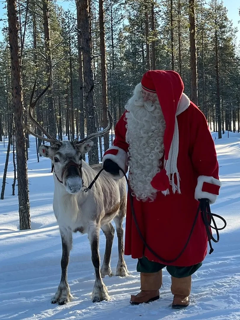 冬季北欧三国极光攻略｜芬兰→挪威→冰岛