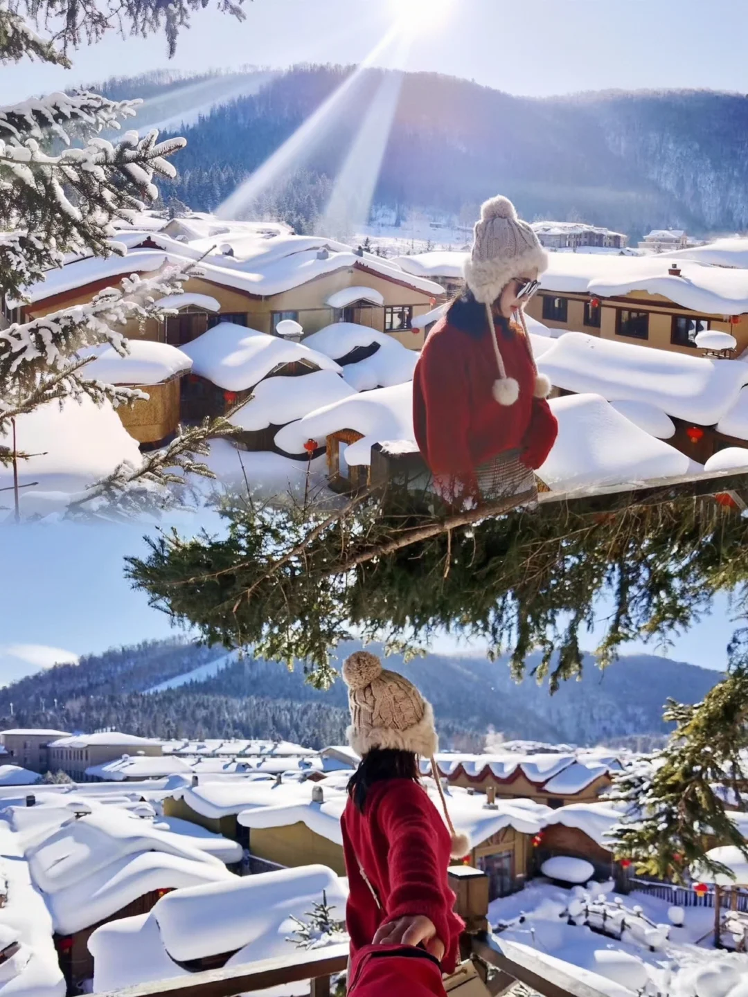 问疯了😭哈尔滨旅游当地团💥1580+搞定