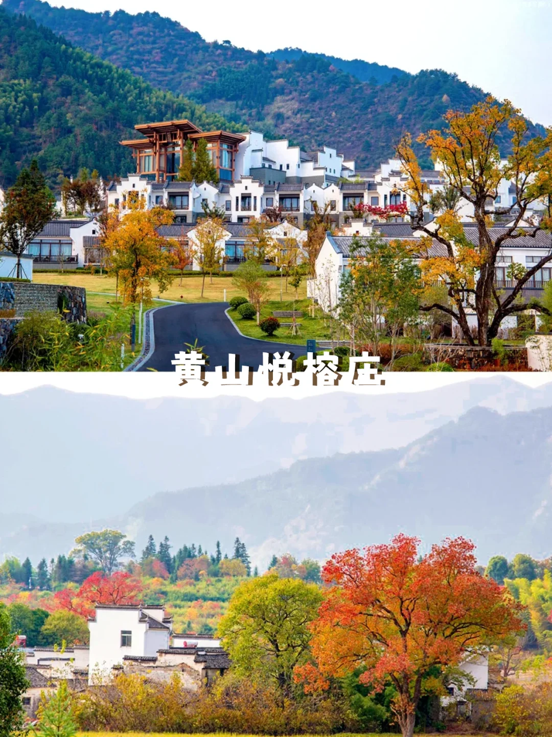 9-11月的皖南，藏着中国最美的秋天🍁