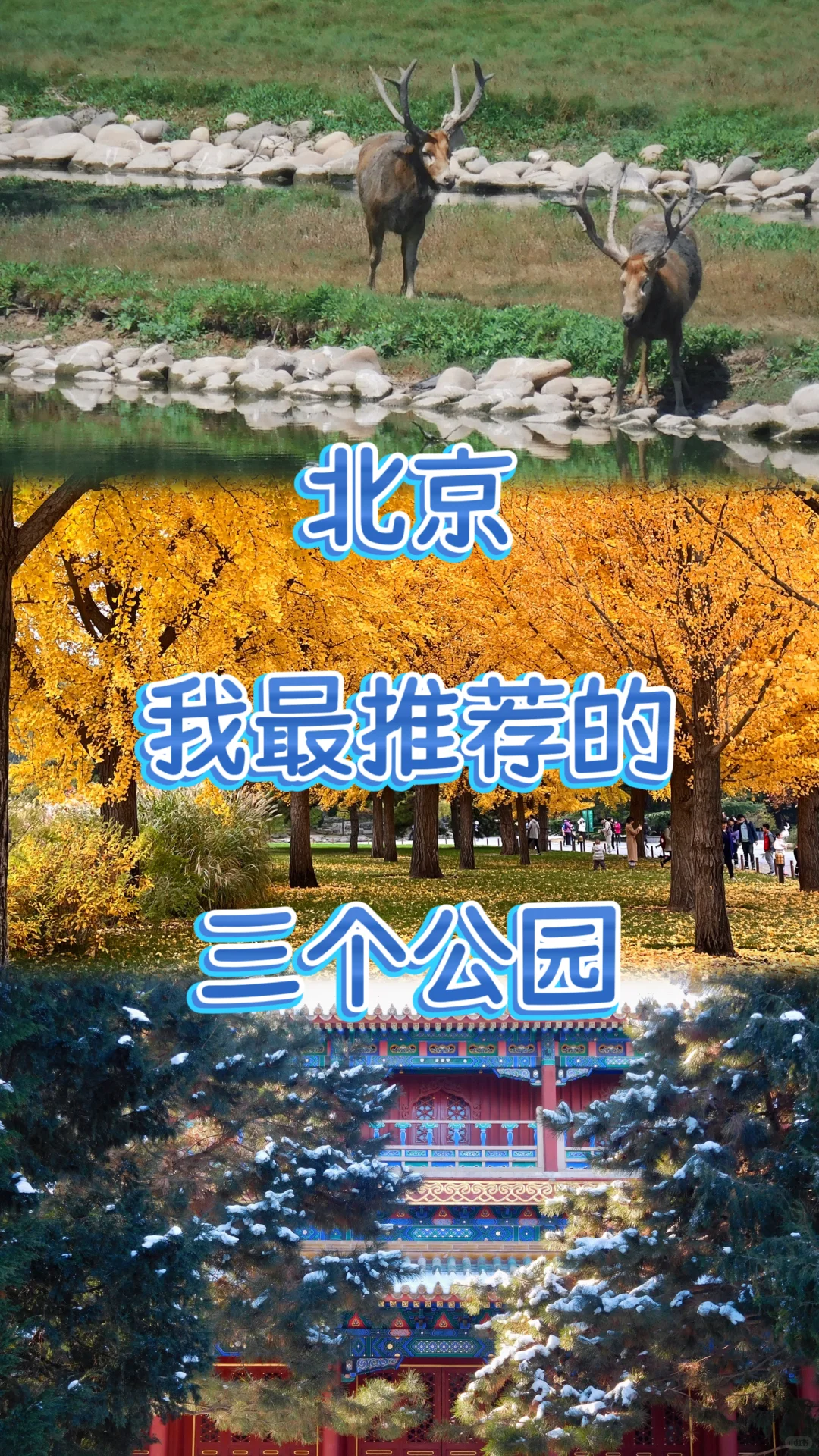 北京，我最推荐的三个公园！
