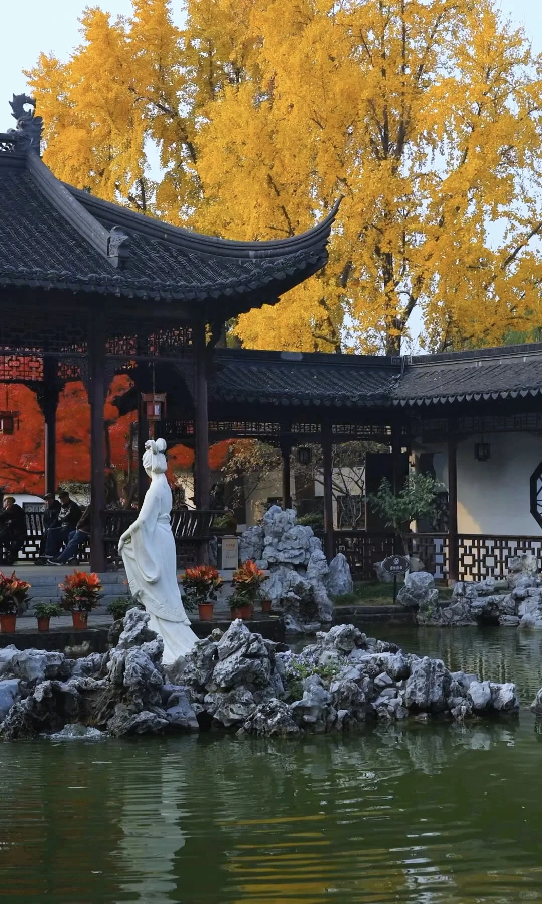 我夸南京一万遍，不及你来看一眼｜赏秋攻略❶