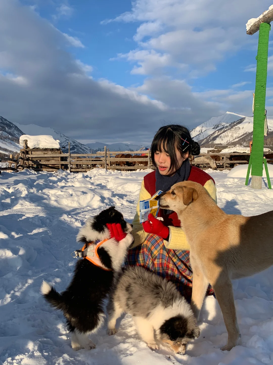 冬天阿勒泰旅游小记｜出片地点分享