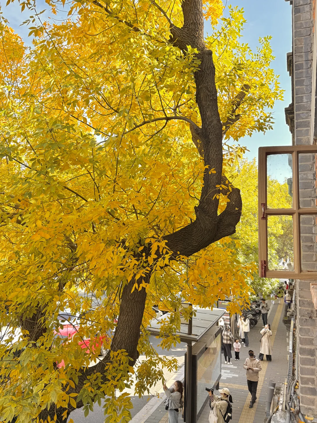 10.19实况🍂北京最新赏秋citywalk路线‼️