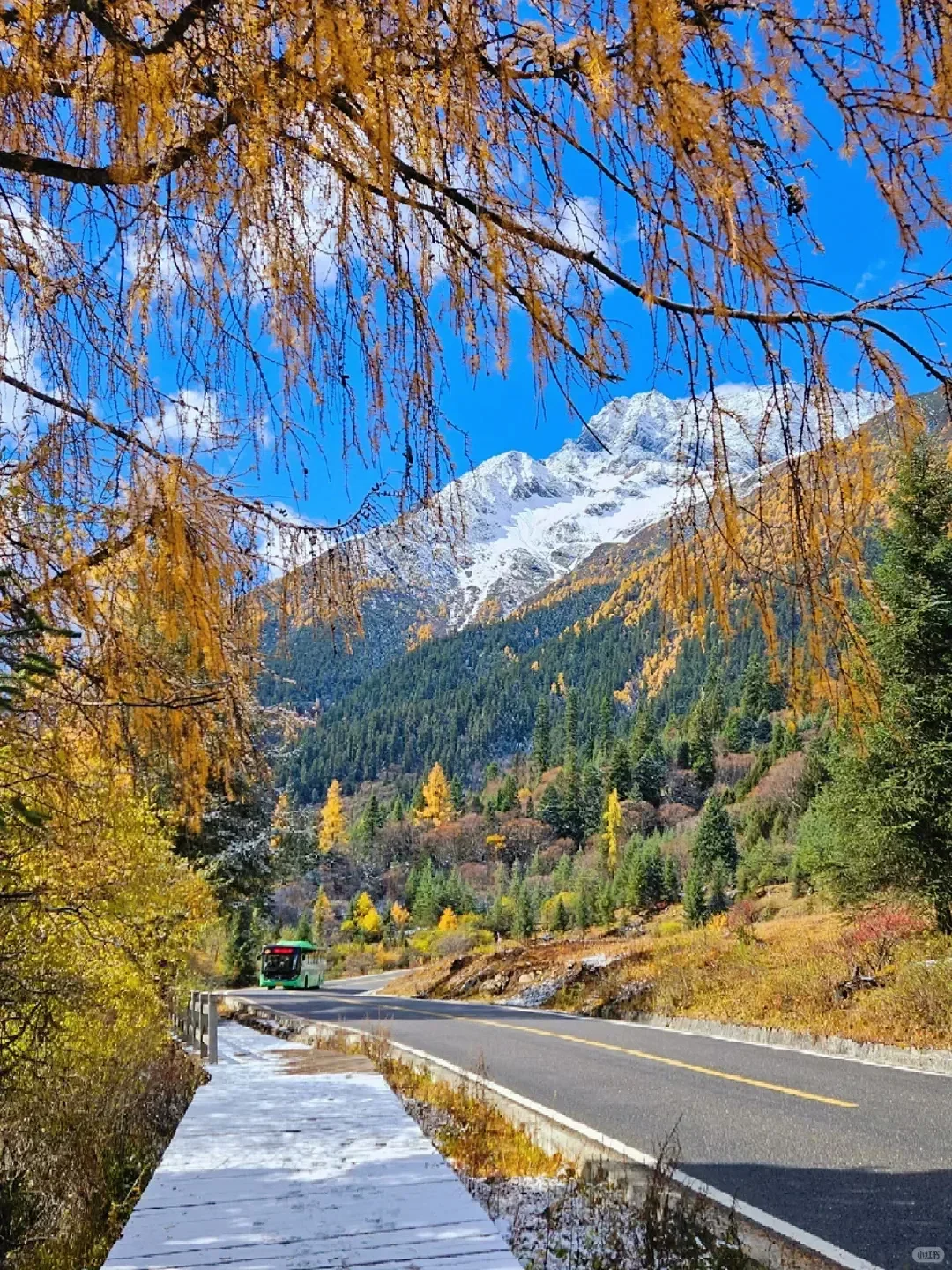 10.18📍四姑娘山现状，草已黄🍂要来的听劝……