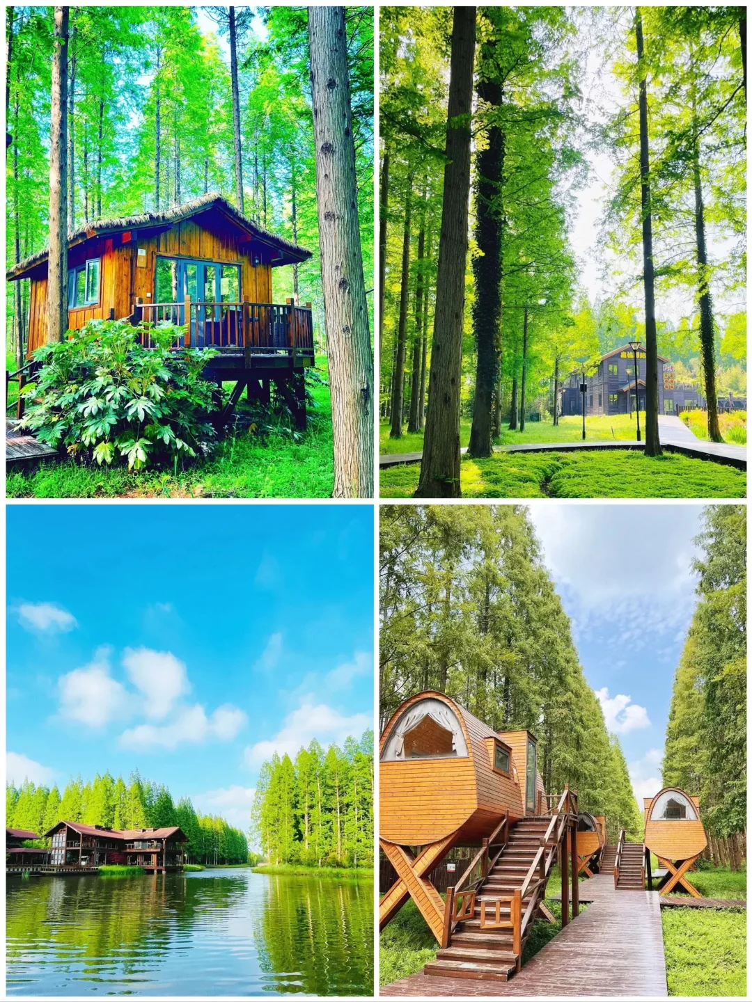 江苏盐城旅游8大景点🌺你去过几个呢❓