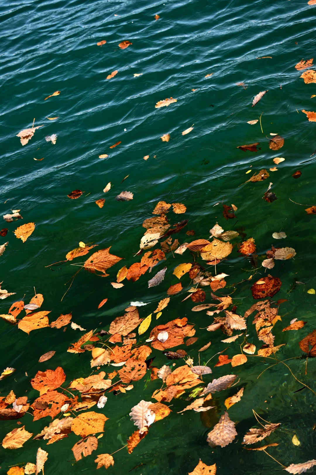 吉林通化龙湾景区游记