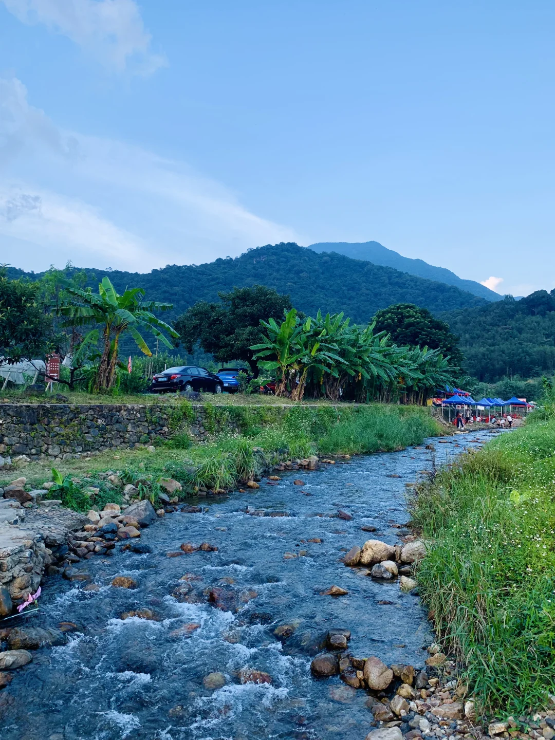 这么近那么美 周末来广州小云南