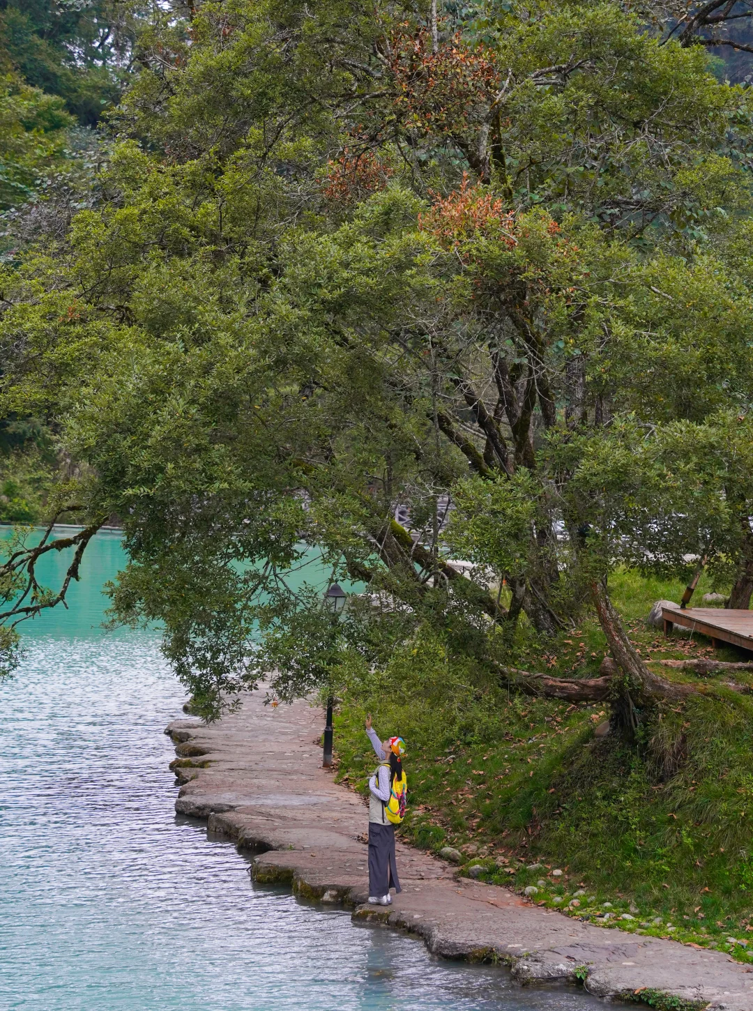 为了这18张图，我特意来了趟喇叭河！附机位