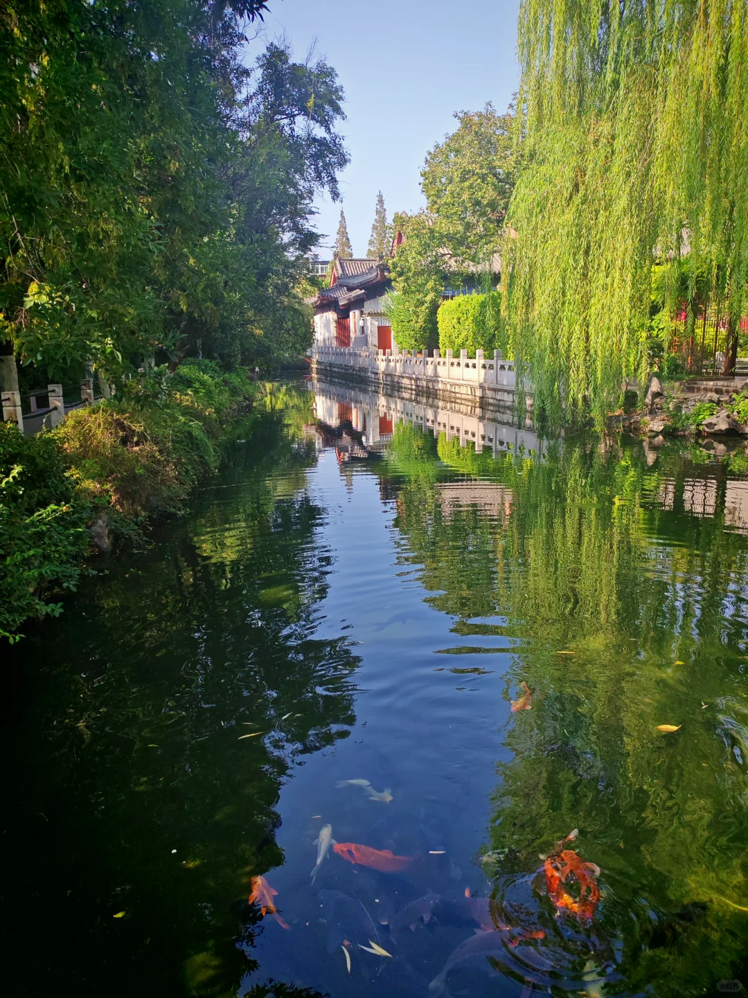 去之前不期待但后劲很大的城市｜看泉一日游